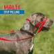 HALTI® HEADCOLLAR NEGRO Collares para Perros