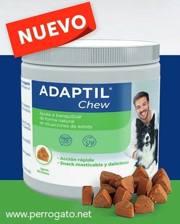 ADAPTIL, CONTROL DEL ESTRES EN PERROS