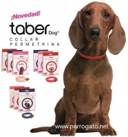 COLLARES ANTIPARASITARIOS PERROS Y GATOS