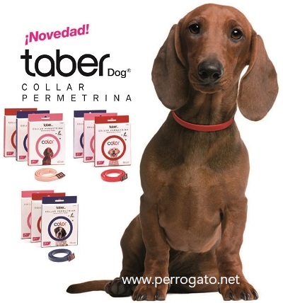 COLLARES ANTIPARASITARIOS PERROS Y GATOS