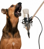 COMO DECIR ADIOS A LOS LADRIDOS