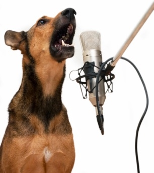 COMO DECIR ADIOS A LOS LADRIDOS