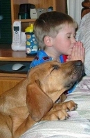 EN NAVIDAD CACHORROS SI, PERO CON TALENTO !!!