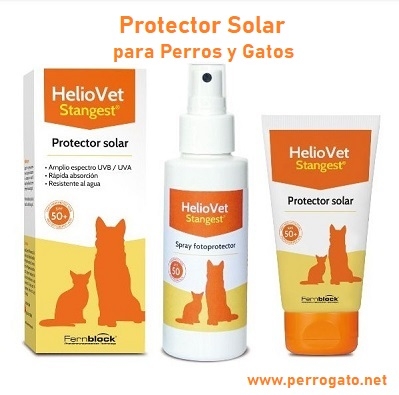 HELIOVET SPF 50 EN CREMA O SPRAY - NOVEDADES STANGEST